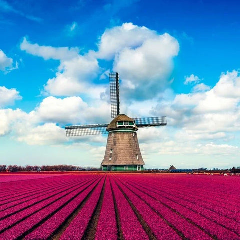eSIM Netherlands — Instant delivery, fast mobile data, scan QR & go