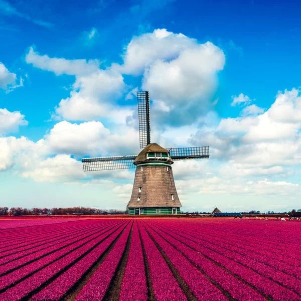 eSIM Netherlands — Instant delivery, fast mobile data, scan QR & go