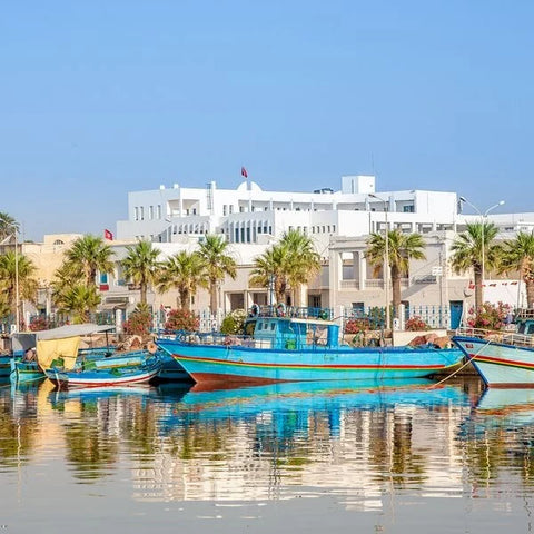 eSIM Tunisia — Instant delivery, fast mobile data, scan QR & go