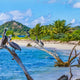 eSIM Grenada