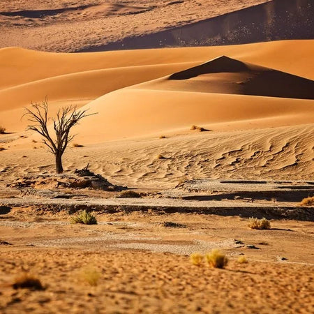 eSIM Namibia — Instant delivery, fast mobile data, scan QR & go
