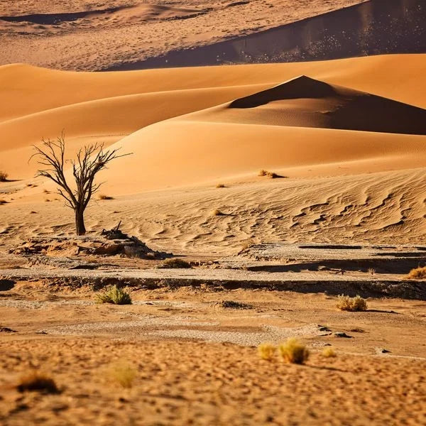 eSIM Namibia — Instant delivery, fast mobile data, scan QR & go