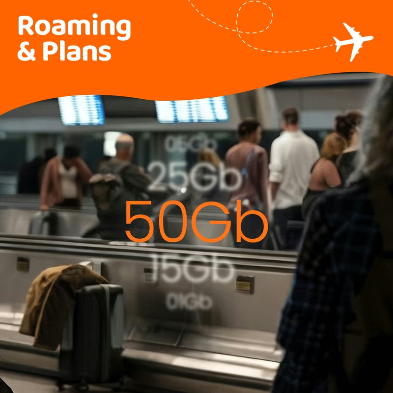 Roaming y planes